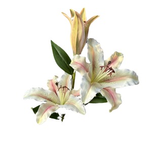 Bouquet de lys artificiels Jinxi en soie, imperméable, pour décoration de mariage, accessoires de photographie en extérieur, décoration intérieure - Product Image 5