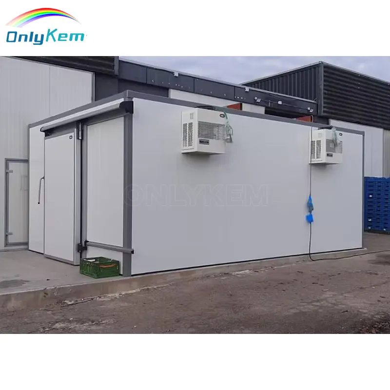 Walk-in Cold Room Industrial Freezer Refrigeration Cool Room Frozen Cold Storage