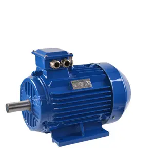 D-001 230/380 AC Volta Electric Motor with 50Hz Frequency Three-Phase Totally Enclosed Protection Induction Motor