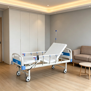 Cama médica con colchón al mejor precio-Venta al por mayor Cama eléctrica/manual para pacientes para el hogar/Hospital-Servicio OEM personalizado - Product Image 1