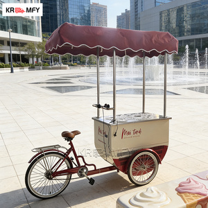 Carrito de Venta de Helados Móvil, Remolcable, Metálico, Resistente a la Oxidación, para Exteriores, para Venta de Snacks - Product Image 5