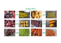 10Ton Per Uur Automatische Grootschalige Druk Stoomschiller Aardappel Stoomschilmachine Stoomschiller Voor Perzik