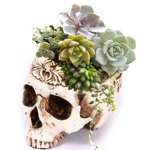 <span class=keywords><strong>Maceta</strong></span> de resina con <span class=keywords><strong>Calavera</strong></span>, <span class=keywords><strong>maceta</strong></span> para suculentas, <span class=keywords><strong>maceta</strong></span> tallada de Cactus, cuenco, estatua de Halloween, escultura, decoración de esqueleto, <span class=keywords><strong>maceta</strong></span> - Product Image 1