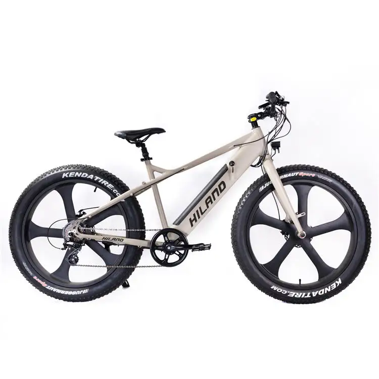 JOYKIE مخصص قوي 48v 42 w إطار عريض e mtb