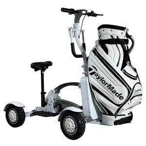 Angelol popular golf electric scooter with 2400W 48V /20AH battery four wheels courtesy scooter leisure transportation vehicle