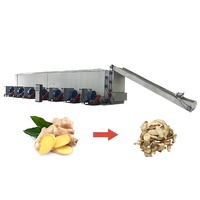 Machine de séchage industrielle à bande maillée pour raisin, thé, chou, fruits, gingembre, légumes, du fabricant d'origine