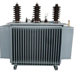 Badan bersegel penuh seri S11 500KVA 630 KVA 1000KVA 1250KVA tiga fase terbenam minyak distribusi PowerTransformer