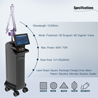 Mesin Laser Fraksional CO2 Kekuatan Tinggi Seaheart Professional dengan Tabung Logam RF 10600nm untuk Peremajaan dan Perawatan Kulit
