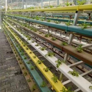 Sistema di Coltivazione Idroponica Verticale NFT, Canale di Coltivazione Commerciale Impilabile <span class=keywords><strong>per</strong></span> la Produzione di Verdure a Foglia Larga ed Erbe Aromatiche - Product Image 6