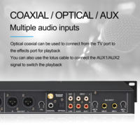 Système audio professionnel de traitement numérique de signal métallique avancé, suppresseur de rétroaction avec tonalité clé pour le son live et le karaoké