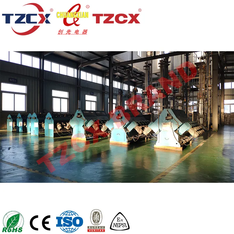 Elemento riscaldante riscaldatore ad immersione tubolare elettrico personalizzato marca TZCX con antideflagrante per distillatore
