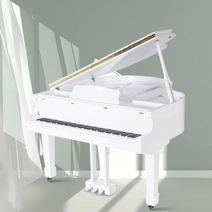 Piano numérique à queue 88 touches professionnel de haute qualité avec sensibilité au toucher à 16 niveaux Ym-a158gd Luxe Ym-a158gd 88 touches Musical - Product Image 4