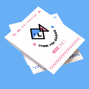 สายกีตาร์โปร่ง Stonefish Professional Folk Acoustic รุ่น D1 ชุดเต็ม 6 เส้น เคลือบสารป้องกันสนิม 1 Xuan E วัสดุเหล็กผสมอะลูมิเนียม - Product Image 1