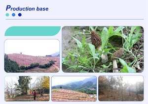 Pillole di Collagene per Donne e Uomini 4000mg ad Alto Assorbimento Tipo 1 3 Peptidi Biotina Vitamina C Complesso <span class=keywords><strong>B</strong></span> Acido Ialuronico - Product Image 6