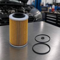 Cartucho de Filtro de Aceite para Motor de Moto Acuática, Componente de Repuesto para Motor Marino TJ-B-097-4 420956741 711956741