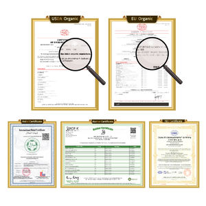 Großhandel Massen preis Oliven blattex trakt Reines Oleuropein CAS Nr. 32619-42-4 - Product Image 5