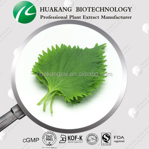 Bubuk ekstrak daun murbei baru 100% Natural Food Grade <span class=keywords><strong>Damiana</strong></span> ekstrak Herbal pasokan 10 bubuk ekstrak daun Ulberry - Product Image 5