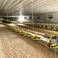 Nouvel équipement d'élevage de poulets U-Best, système de chaîne d'alimentation pour volailles, mangeoires et abreuvoirs pour poulets, garantie 1 an