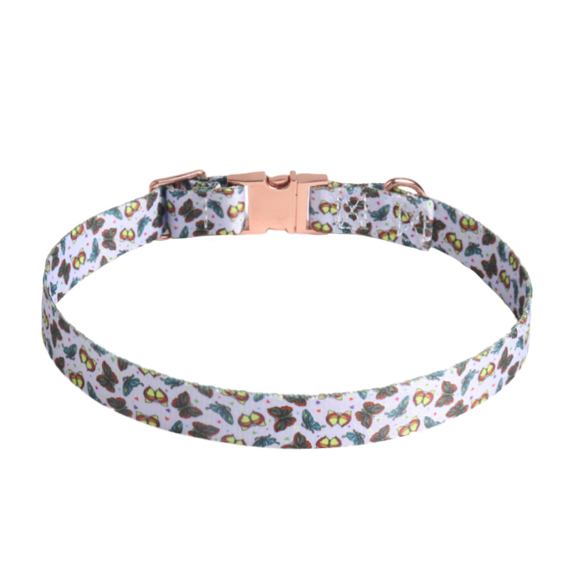 Papillon