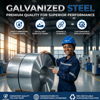 Bobina de Acero Galvanizado DX51D de Primera Calidad, Espangle Regular, para el Mercado de Colombia y Perú, Construcción Industrial