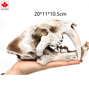 Tượng Đầu Lâu Hổ Răng Saber Mô Hình Nhựa <span class=keywords><strong>Resin</strong></span> Quầy Bar Gia Đình Đồ Thủ Công Halloween Để Bàn Cổ Điển - Product Image 3