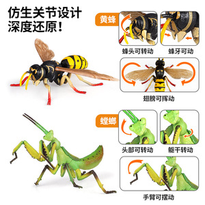 Children Insect Assembly Toy Set 4-7 Years Old <b>Educational</b> Nature Exploration DIY Kit With Guide <b>Book</b> - Product Image 3