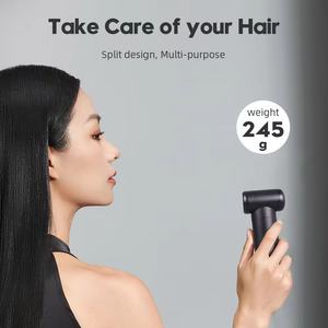 Idées de nouveaux produits magiques 2025 Ventilateur à jet portable Turbo puissant Dépoussiéreur sans fil Sèche-cheveux - Product Image 5