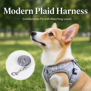 Plaid <b>Pet</b> Harness with <b>Leash</b> Poly-Cotton Mesh Breathable Vest Harness Set for Small Dogs Cats - Product Image 1