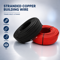 Cable de Construcción de Cobre Estañado Trenzado con Aislamiento XLPO, Clasificación de 300V, Diámetro de 1-16mm2, Rollo Rojo y Negro para Cableado Doméstico