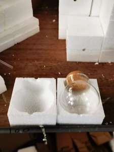 Terrarium en verre - Product Image 2