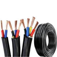 Kabel Multi-Core Tianyuan ZR-RVV 750V Panjang Sesuai Pesanan, Tahan Api, Fleksibel, Kawat Tembaga Terpilin, Selubung PVC, untuk Bangunan Industri