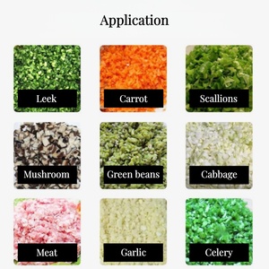 Machine industrielle multifonctionnelle pour couper les légumes, hacher et broyer la viande, y compris pour l'alimentation des poulets - Product Image 4