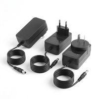 Transformateur AC/DC mural personnalisé 24V 1A 1.5A 2A 100-240V avec prise EU/AU pour diffuseur d'arômes et purificateur d'air