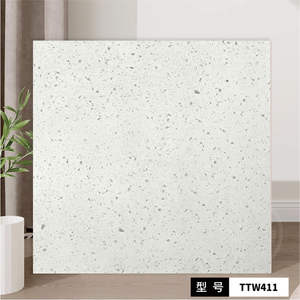 Carreaux de terrazzo rustiques modernes 60X60 carreaux de mur intérieur durables pour la décoration intérieure salle de bain hôtel hôpital Villa-TTW411 - Product Image 2