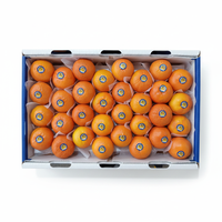Jeruk Mandarin Segar Kaya Vitamin C, Mudah Dikupas, Buah Segar Sehat, Kualitas Ekspor Global