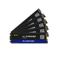 بوري بالجملة M.2 GB SATA 1.2 GB 1 m2 محرك صلب sata ssd