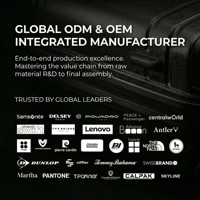 Оптовая продажа B2B: Современный стиль, чемоданы 20 и 24 дюйма, большой объем, универсальные колеса, индивидуальный цвет, производство багажа