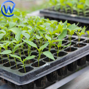 50 Hole Plastic <strong>Seedling</strong> <strong>Sprout</strong> Tray 128 Holes Extra Deep <strong>Seedling</strong> Planting Trays Black Rice Nursery Tool Tray - Product Image 5