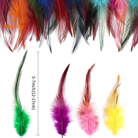 200 Plumes de Coq Naturelles pour Arrangements Floraux, Tenues de Fête Renaissance, Accessoires de Photomaton, Leurres de Pêche à la Mouche