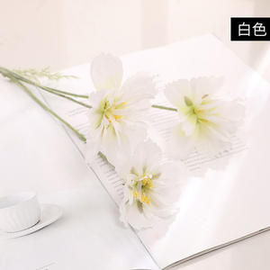WFR185 Venta al por mayor 3 cabezas Artificial Real Touch Daisy Crisantemo Flor <span class=keywords><strong>Cosmo</strong></span> Bipinnatus Galsang Flor para la decoración de la boda - Product Image 6