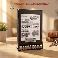 P19907-B21 3.84TB 2.5in SAS 12G RI SSD - Disque SSD pour serveur d'entreprise