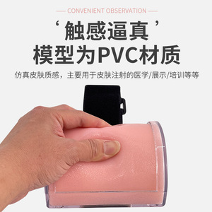 [Venta Directa de Fábrica] Módulo de Práctica de Inyección de Insulina, Módulo de Práctica de Inyección para Entrenamiento Muscular - Product Image 3
