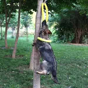 Cincin Latihan Anjing, Mainan Tarik Apung untuk Kebugaran Luar Ruangan dan Cakram Terbang, Alat Bermain Interaktif untuk Anjing Kecil, Sedang, dan Besar - Product Image 2