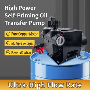 <span class=keywords><strong>Pompe</strong></span> à Diesel Électrique CC <span class=keywords><strong>12V</strong></span> 24V 550W Portable <span class=keywords><strong>Auto</strong></span>-amorçante Silencieuse Basse Pression <span class=keywords><strong>Pompe</strong></span> à Engrenages - Product Image 2