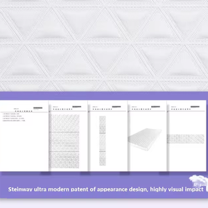 Skylee 4D Không Khí Lưới Có Thể Giặt Thoáng Khí Chống-Bedore Polyethylene Polymer PE PP Poe Nệm - Product Image 5