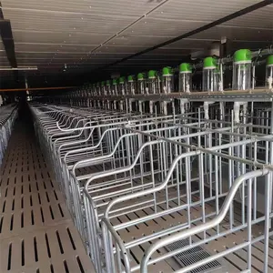 Equipment Sow Farrowing Crates For Sale Pig Farm Animal Cages Pig Cage Fence