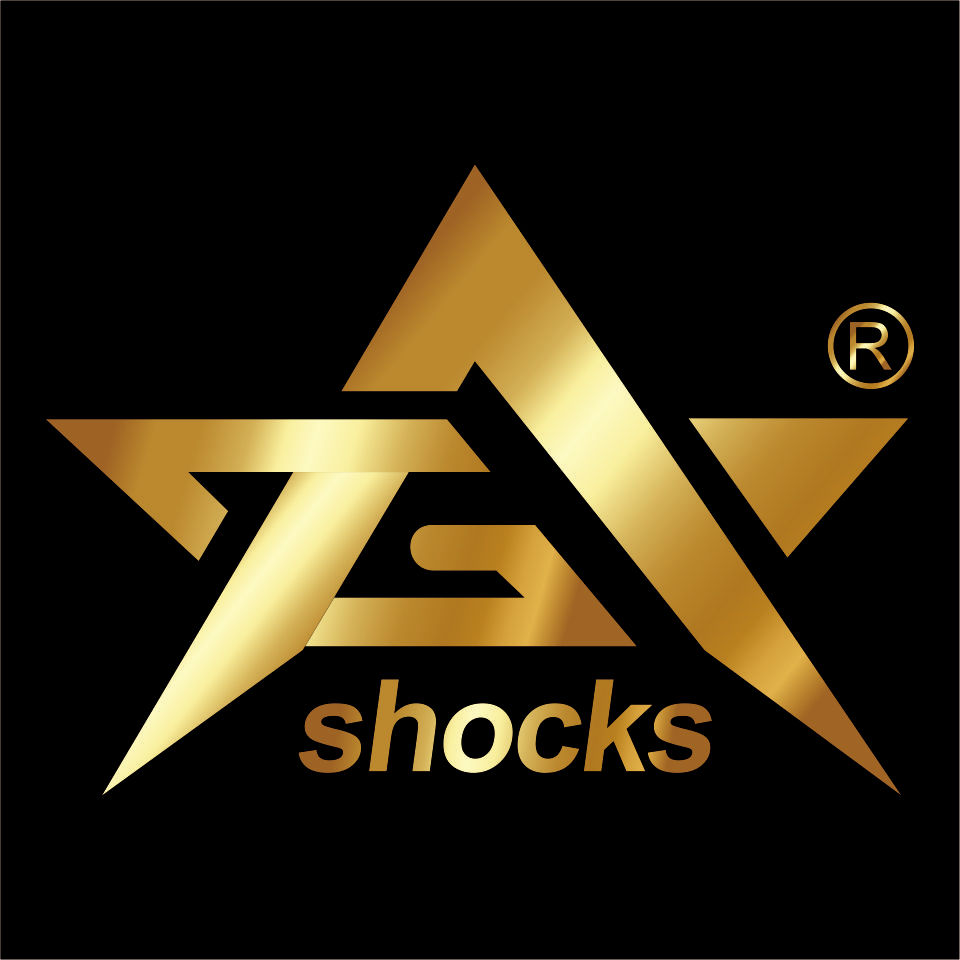 Dongguan Ba Ge Shock Absorption Technology Co., Ltd. logo