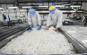 Ketoslim Mo Hecho <span class=keywords><strong>en</strong></span> China, Sin Calorías, Sin Azúcar, Sin Grasa, Alto <span class=keywords><strong>en</strong></span> Fibra, Alimento Saludable, Nudos <span class=keywords><strong>de</strong></span> Konjac - Product Image 2