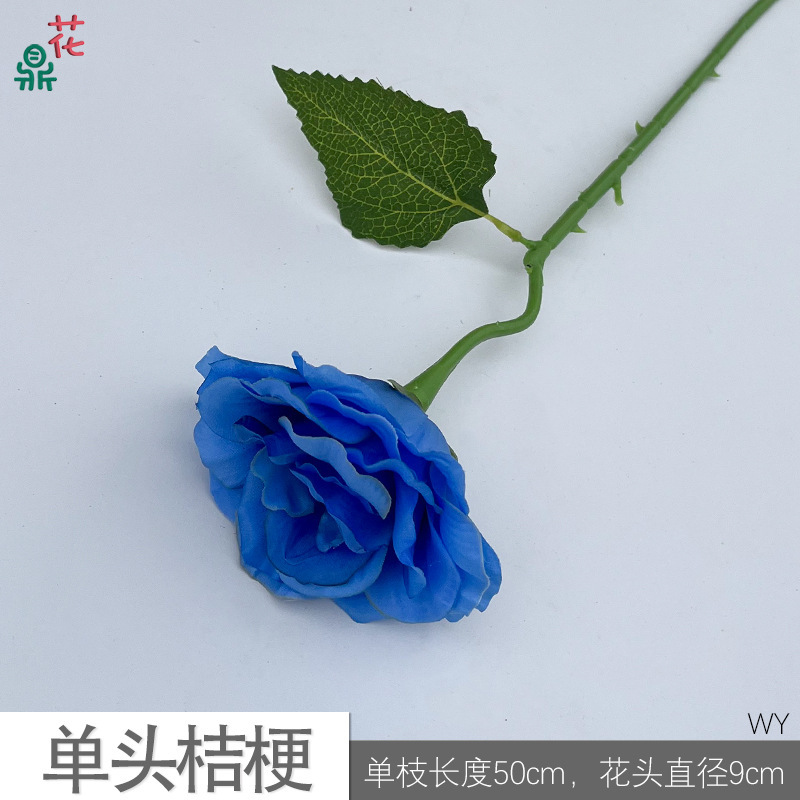 ดอกกระดิ่งหัวเดียว WY Blue