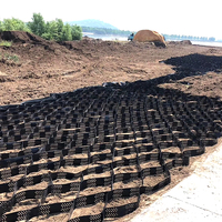 Matériau HDPE durable de haute qualité mur de soutènement extérieur Protection de pente d'allée modèle 3D conçu Geocells fabriqués LUDE